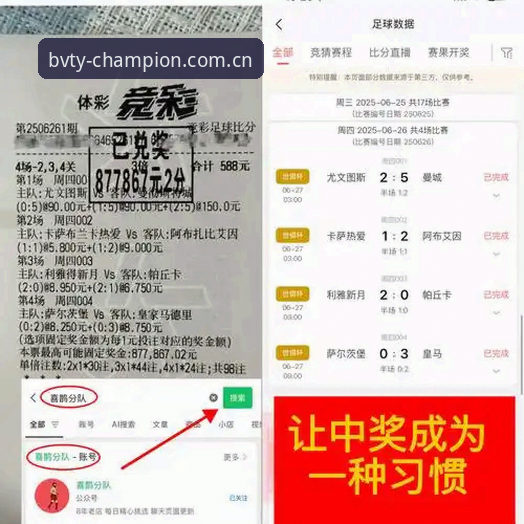 资深用户亲测：宝威体育平台最新资讯与使用心得分享